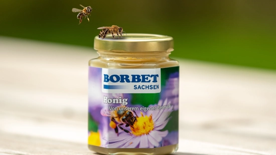 Bienen Honig 1920x1080