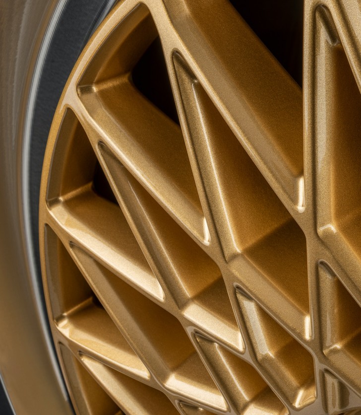 B 8519 5L gold rim polished Detail 05