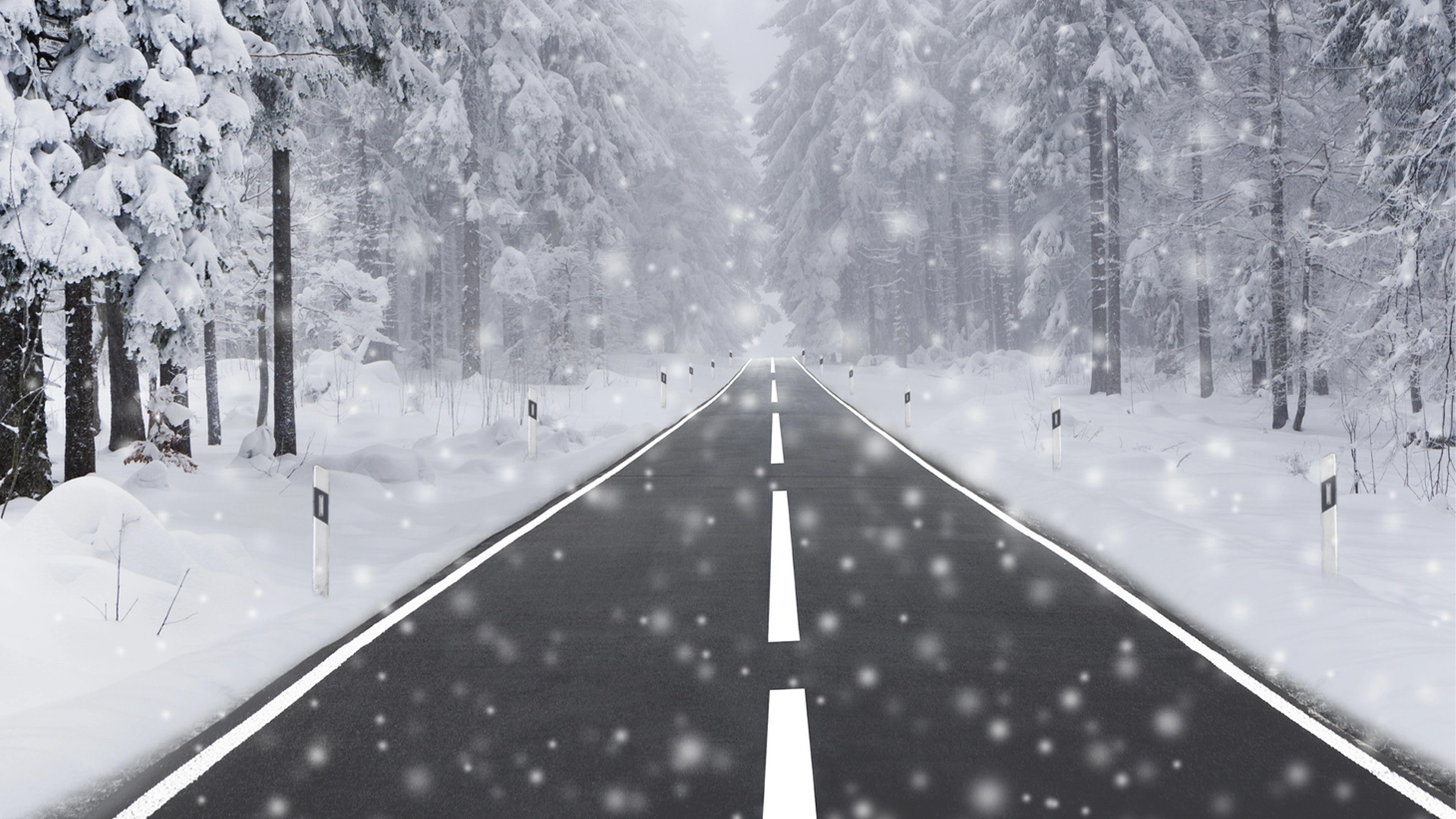 Winter FAQs