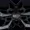 BY 8,0x20 496076 black matt Detail 01