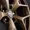 Y 8,0x19 ET 37 bronce Detail 05