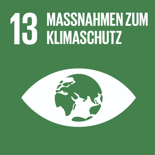 SDG-icon-DE-13