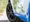 BORBET3721 web